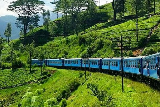 Nanu Oya to Ella train ride on (Train No: 1005 "Podi Menike") - Why the Nanu Oya to Ella train ride matters