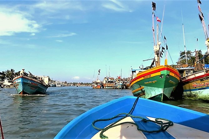 Negombo City Tour - Starting at the Negombo Fish Market