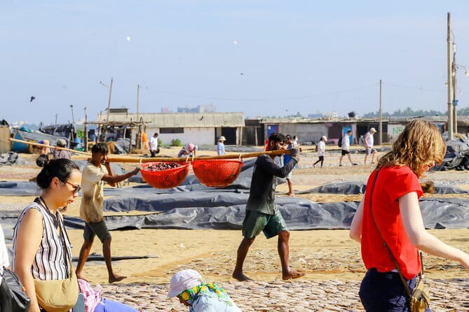 Negombo City Tour by Tuk Tuk - Dry fish beach: the tour’s strongest everyday sight
