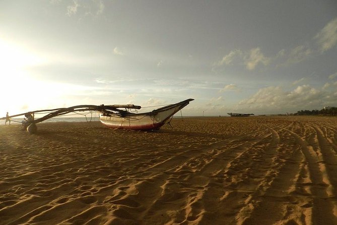 Negombo Day Tour - Ten minutes at Negombo Fishery Harbour