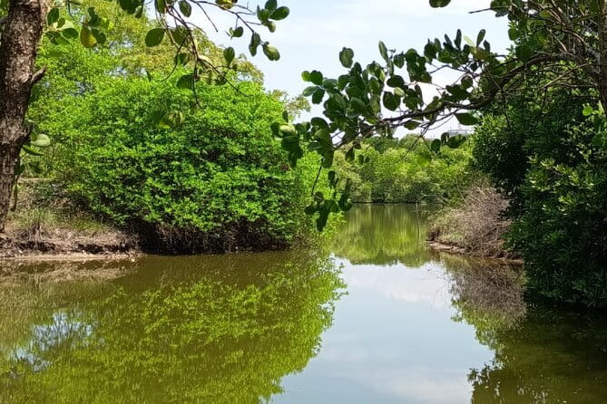 Negombo Lagoon Boat Safari Hotel Pickup(Monkey,Mangrove) - What is included, and what is not