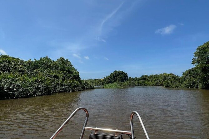 Negombo Lagoon & Muthurjawela Bird Watching Boat Tour - What This Two-Hour Wetland Tour Really Offers