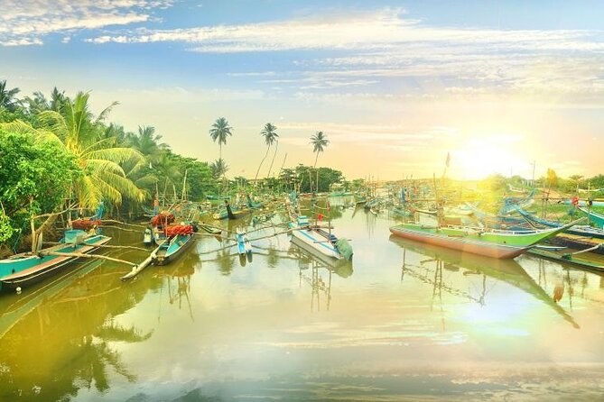 Negombo Lagoon & Muthurjawela Bird Watching Boat Tour - The Cruise Ship Warning You Should Not Ignore