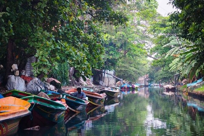 Negombo Lagoon & Muthurjawela Bird Watching Boat Tour - Choosing the Best Time Between 6:00 AM and 6:00 PM