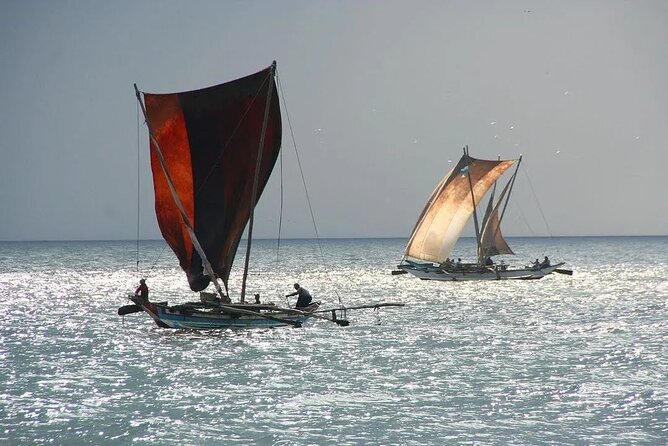 Negombo Lagoon & Muthurjawela Bird Watching Boat Tour - Who Will Enjoy This Boat Ride Most?