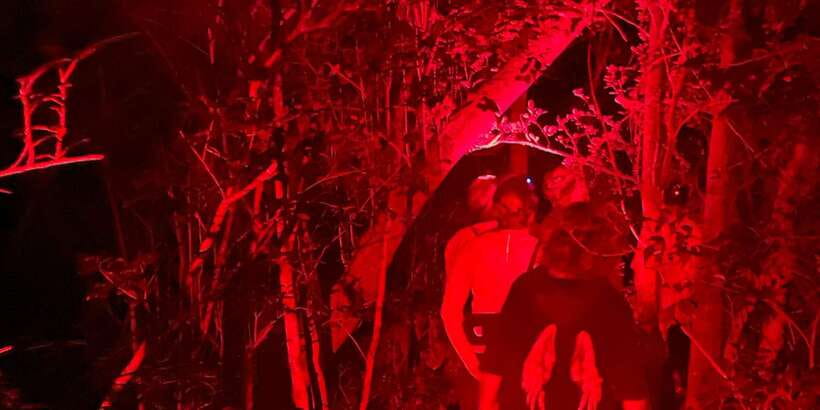 Night Hike to see Elusive & Rare Loris in Sigiriya - Who will enjoy this most?