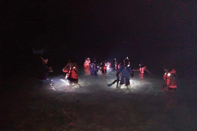 Night Snorkeling Experience in Mirissa - Why Mirissa After Dark Feels So Different