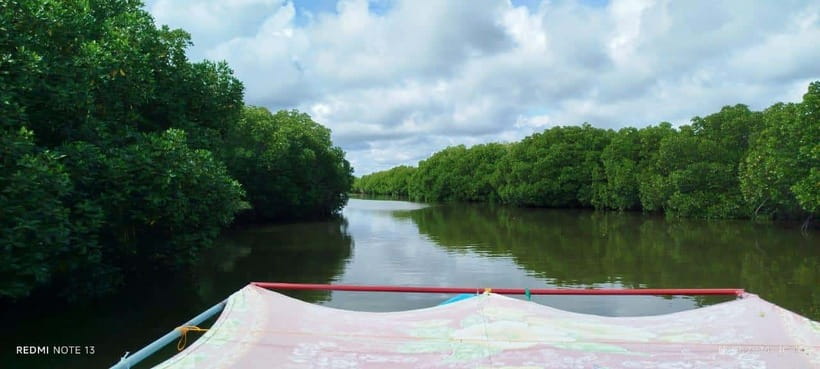 Nilaveli: Lagoon Boat Safari with Mangrove Exploration - Key points at a glance