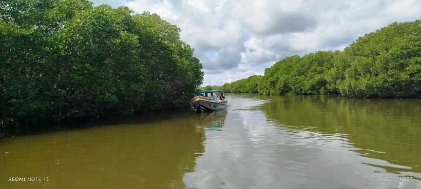 Nilaveli: Lagoon Boat Safari with Mangrove Exploration - Birds, crocodiles, and realistic wildlife expectations