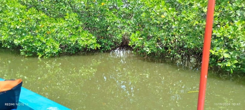 Nilaveli: Lagoon Boat Safari with Mangrove Exploration - Water, fruit, shade, and what to bring