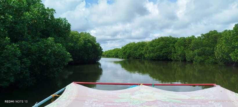 Nilaveli: Lagoon Boat Safari with Mangrove Exploration - How the $27 price measures up