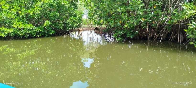 Nilaveli: Lagoon Boat Safari with Mangrove Exploration - Who may want a different Nilaveli activity?