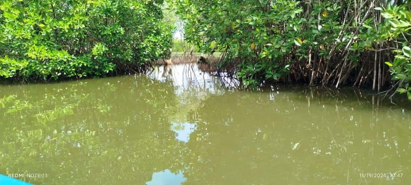 Nilaveli: Lagoon Boat Safari with Mangrove Exploration - From Pigeon Island Tours to the open lagoon