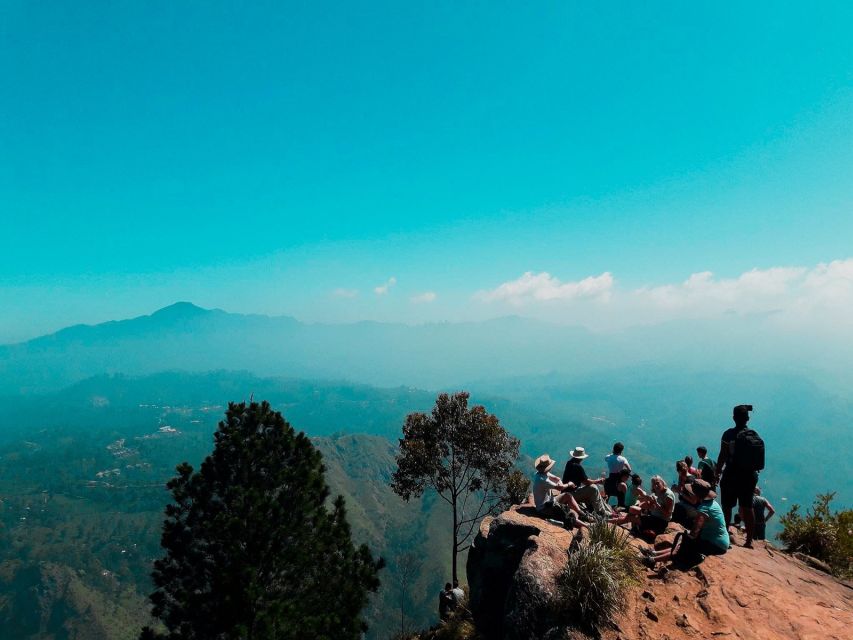 Nuwara Eliya: All-Inclusive Ella Sightseeing Private Tour - Walking Through Tea Plantations