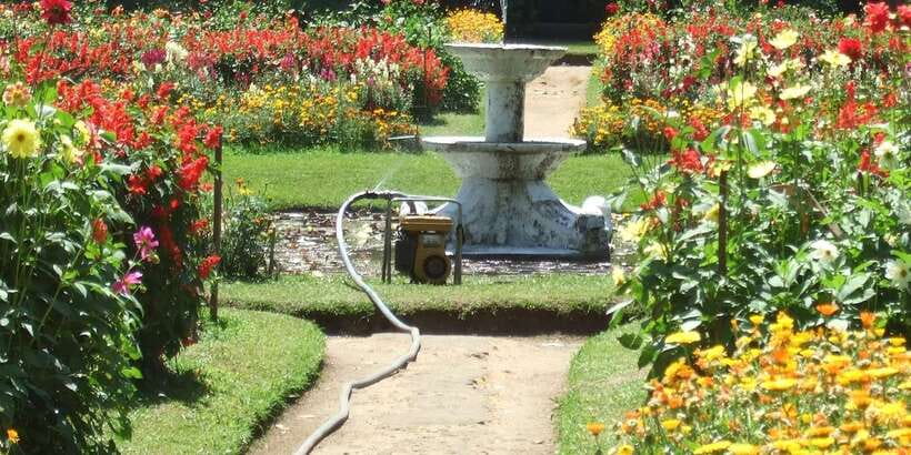 Nuwara Eliya: All-Inclusive Private Sightseeing Day Tour - Hakgala Botanical Gardens among roses and orchids