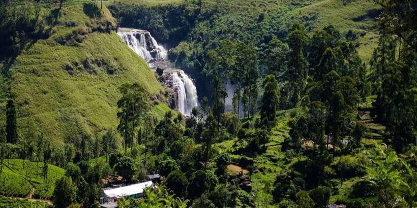 Nuwara Eliya: All-Inclusive Private Sightseeing Day Tour - Pedro Tea Factory and your first tea leaves