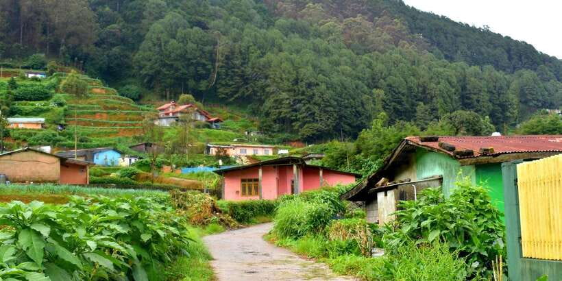 Nuwara Eliya: All-Inclusive Private Sightseeing Day Tour - Transport, timing, and what the $50 price covers