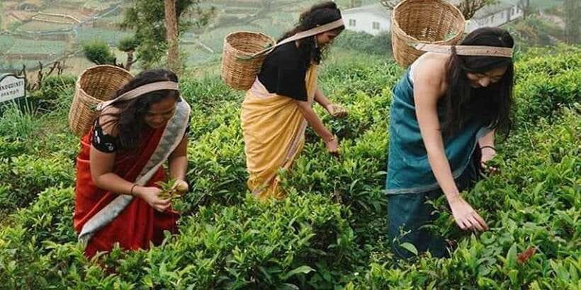 Nuwara Eliya Day Tour from Kandy (Private Tour) - Three hours around Nuwara Eliya