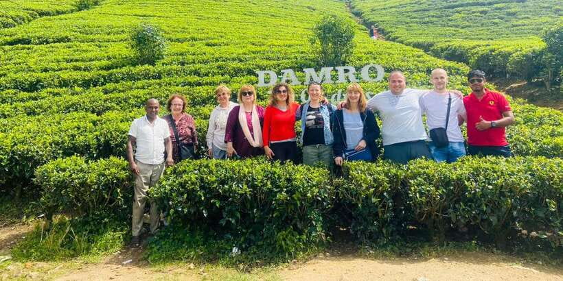 Nuwara Eliya Day Tour from Kandy (Private Tour) - Leaving Kandy for the tea hills