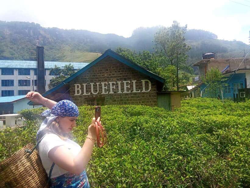 Nuwara Eliya Full day: 5Waterfalls, 2Tea Test & pick by TUK - Poona Ella, Dunsinane, and Ramboda Falls