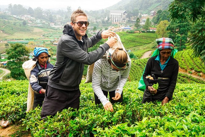 Nuwara Eliya Highlands from Kandy - Key points to know before you book
