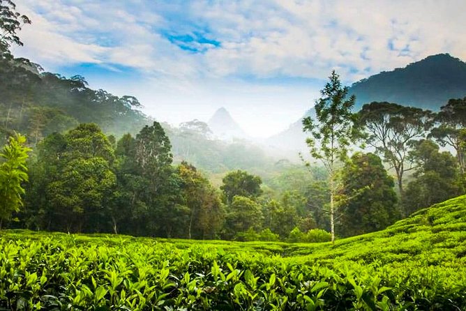 Nuwara Eliya Highlands from Kandy - Leaving Kandy for the Central Highlands