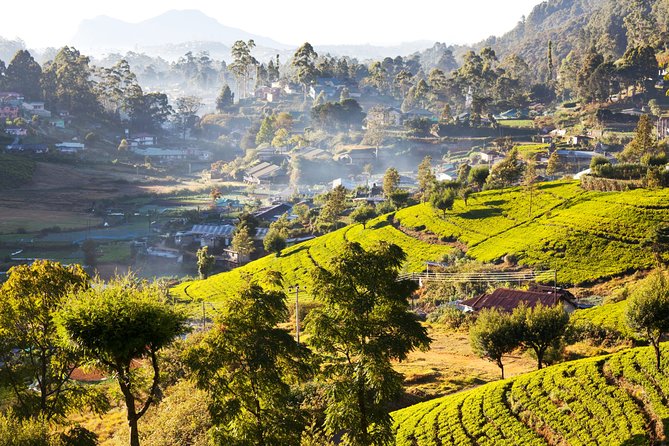 Nuwara Eliya Highlands from Kandy - Comfort, pace, and the practical tradeoffs