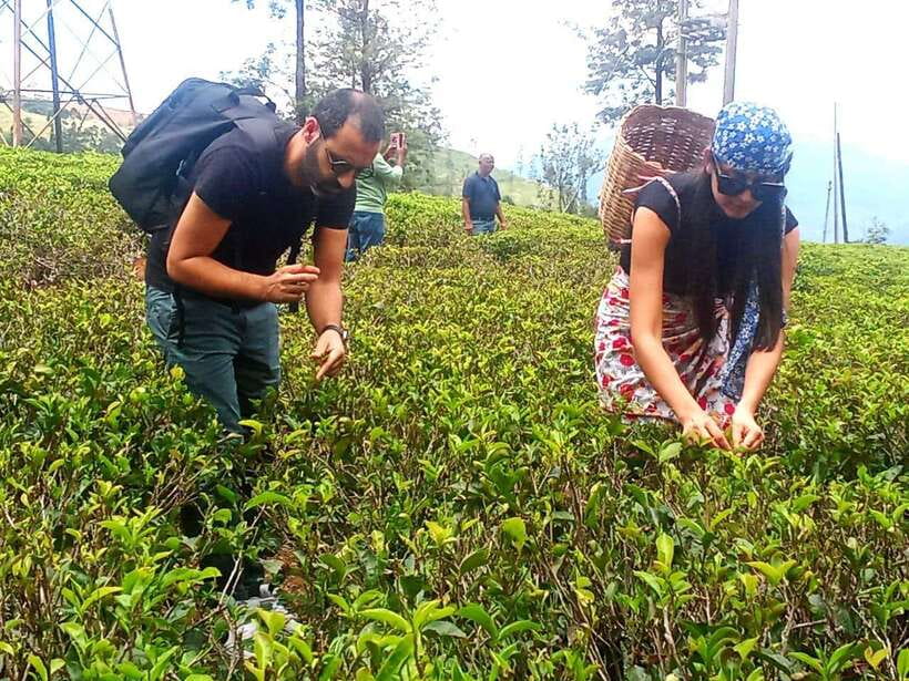 Nuwara Eliya: Tea Factory and Pickle Waterfalls Tuk Tuk Tour - Who will get the most from this tour?