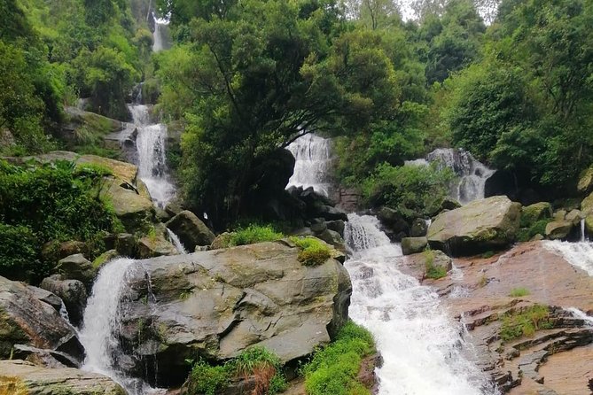 Nuwara Eliya Tea factory and waterfall tour - Why this Nuwara Eliya tour works