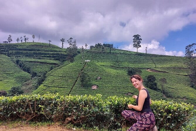 Nuwara Eliya Tours - A modern tea bush factory