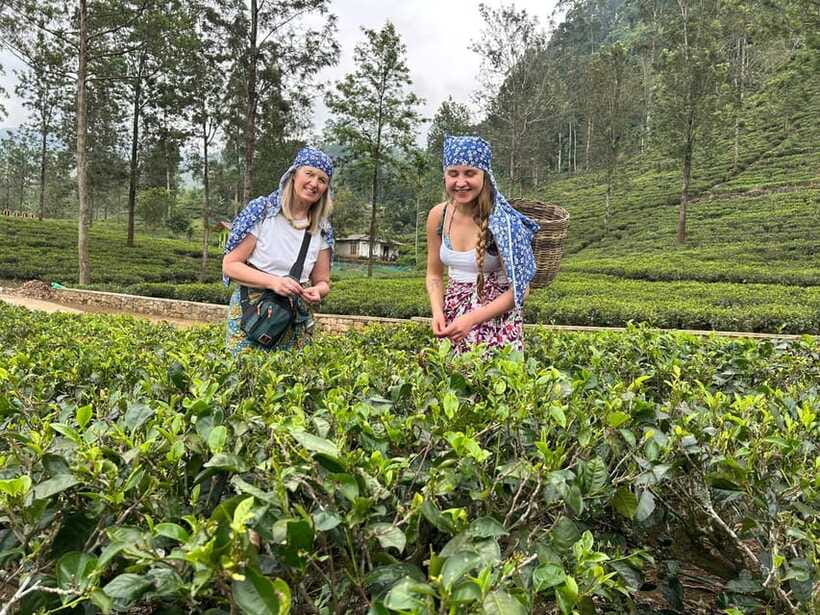 Nuwara Eliya Tuk-Tuk Tour Tea Picking,Tasting &Ramboda Falls - Who will get the most from this tour