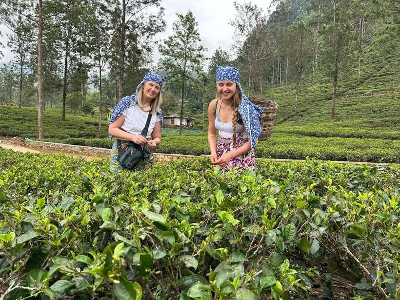 Nuwara Eliya Tuk-Tuk Tour Tea Picking,Tasting &Ramboda Falls - Starting at the Royal Post Office