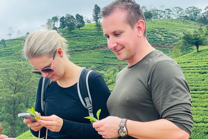 NuwaraEliya Tea Factory,Plantation & Water Falls Hike Tour by Car - What your guide adds to the drive