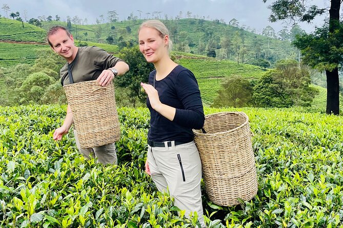 NuwaraEliya Tea Factory,Plantation & Water Falls Hike Tour by Car - The private price and what it really covers
