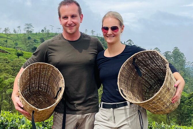 NuwaraEliya Tea Factory,Plantation & Water Falls Hike Tour by Car - Standard tour or longer tea safari?