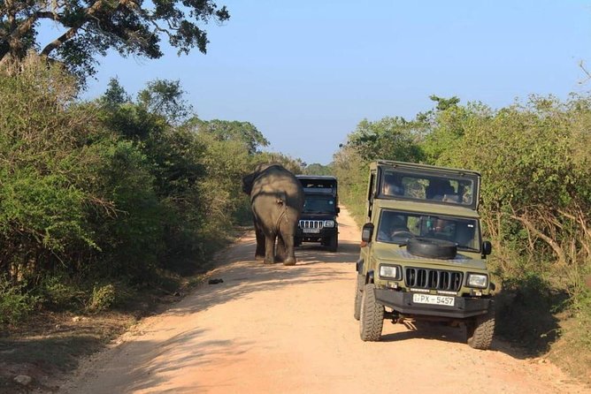 One Day Udawalawe Safari from Galle/Mirissa/Unawatuna/Hikkaduwa - Entering Udawalawe National Park by private jeep
