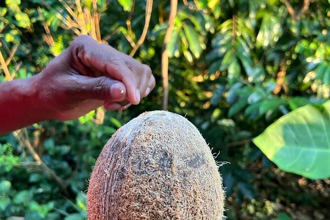 Organic cooking class sigiriya (kumara & family) - What makes the food memorable