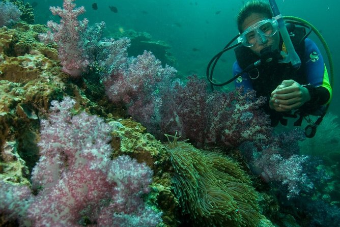 PADI Scuba Diver Course - From classroom basics to your first ocean session