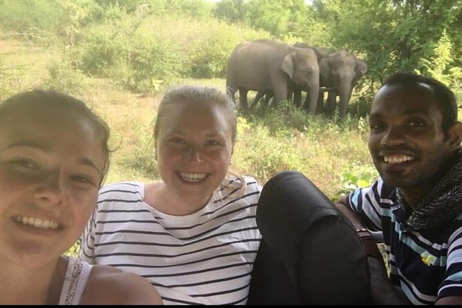 Paradise Udawalawe Safari Tours - Why Udawalawe works as a day trip from Tangalle