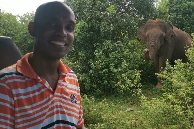 Paradise Udawalawe Safari Tours - Three hours looking for elephants and more