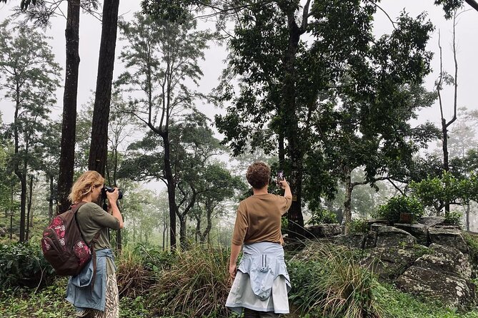 Pekoe Trail Stage 1- Scenic Trek from Hanthana to Galaha - Forest, birds, and small signs of life