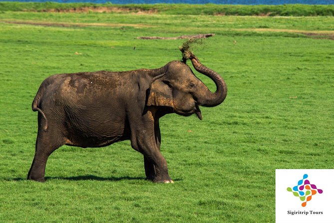 Personal Driver For Your Two Weeks Round Tour In Sri Lanka - Kandy and the road into the hills