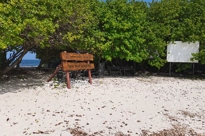Pigeon Island Snorkeling – Swim with Sharks & Turtles - Group size and the feel of the experience