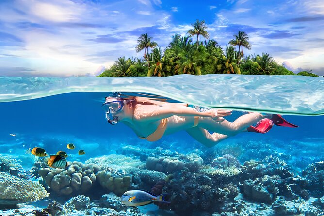 Pigeon Island Snorkeling Tour From Uppuveli Beach - Key points to know before you book