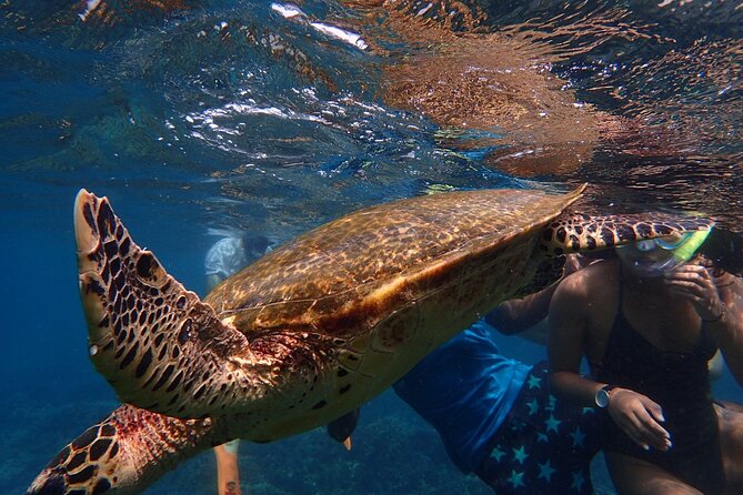 Pigeon Island Snorkeling Tour From Uppuveli Beach - Equipment, comfort, and safety
