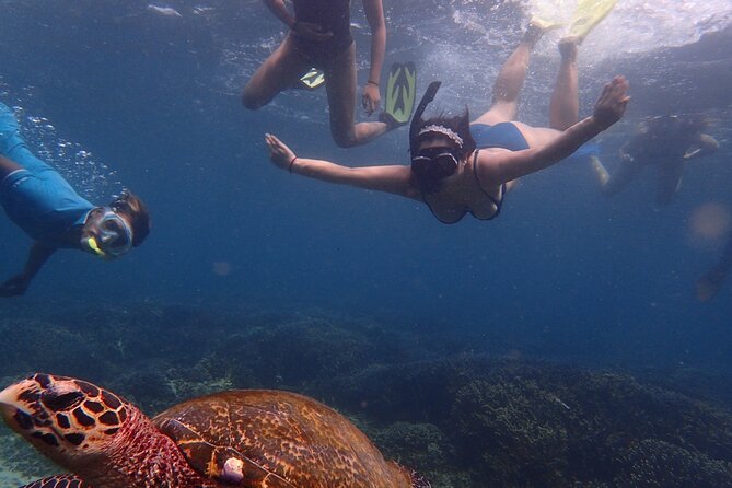 Pigeon Island Snorkeling Tour From Uppuveli Beach - Who will enjoy this outing most?
