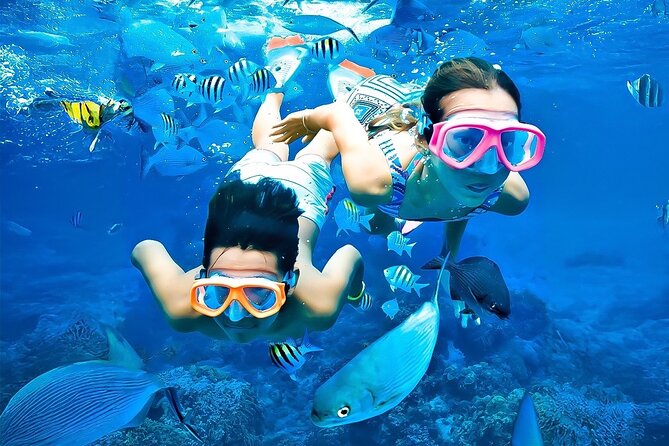 Pigeon Island Snorkeling Tour From Uppuveli Beach - Coral, fish, turtles, and sharks