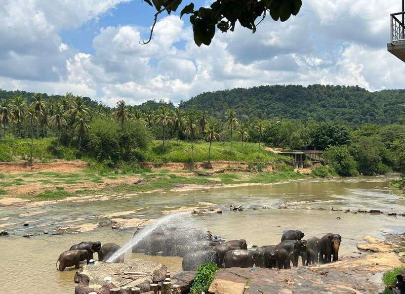 Pinnawala Day Tour from Kandy (Private tour ) - What the $40 private price really gives you