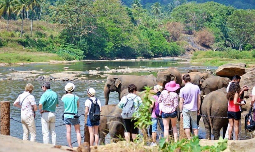 Pinnawala,Kandy Day Tour from Colombo/Negombo - Key points to know before booking