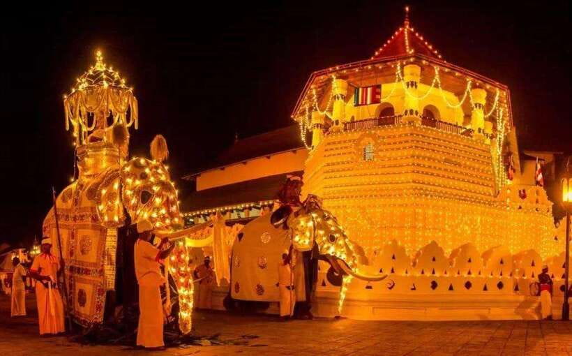 Pinnawala,Kandy Day Tour from Colombo/Negombo - Why this day works best as a Sri Lanka sampler